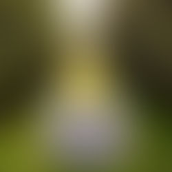 Een waardig afscheid mag geen voorrecht zijn