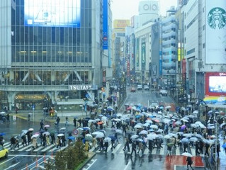 誰も何も言わないけど今年の梅雨は長い気がする