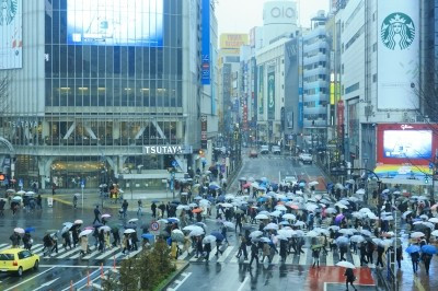 みんな何も言ってないけど今年の梅雨は長い