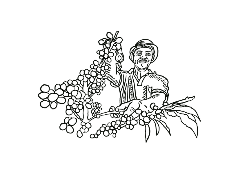 Untitled_Artwork 3.png