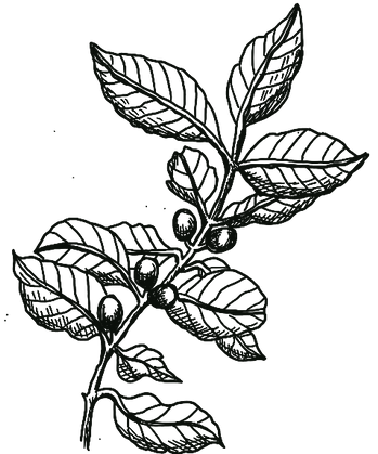 Image_11-4-21_at_11.55_AM.png