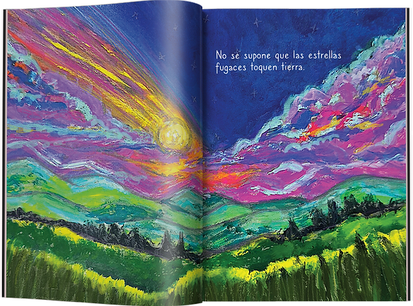 libro 2.png