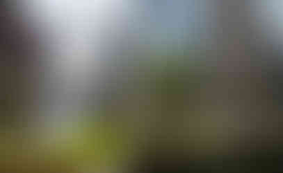 Urban oasis: floating park at Paddington Basin featuring various shops and restaurants.