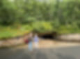 Grotte de Rouffignac