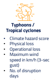 Typhoon Website.png