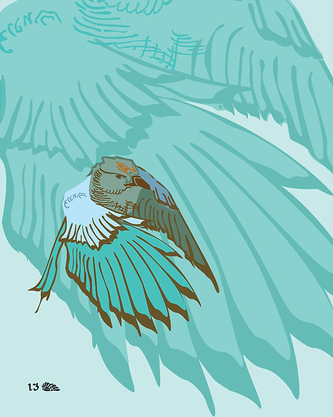 final project book_Page_16.png