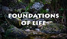 foundations.jpg