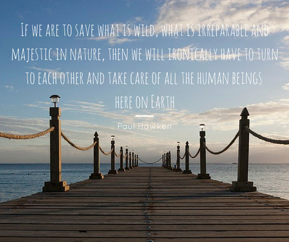 148 if we are to save what is wild