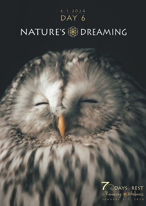 DAY 6 Nature's Dreaming.jpg