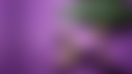 Como viver a Quaresma? Um guia prático para o seu coração