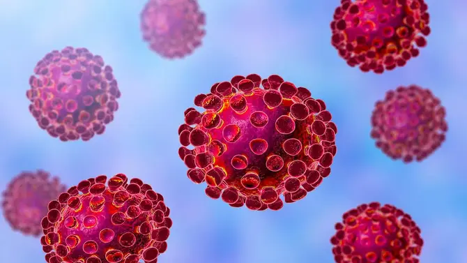 Why is Covid-19 so named?