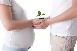 Pruebas de Fertilidad