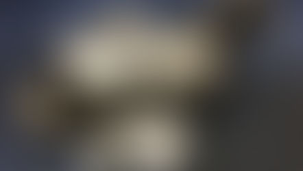 FIAT DUCATO EURO6 - DPF FELÚJÍTÁS RÉSZECSKESZŰRŐ JAVÍTÁS - 1379587080, 1379588080