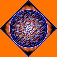 616002_541338735879709_1350816995_o.jpg