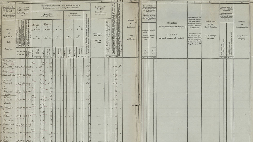 Anmeldung uwlaszczenie w Galicji