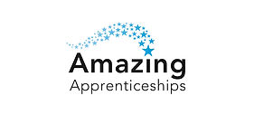 Top 100 Apprenticeships