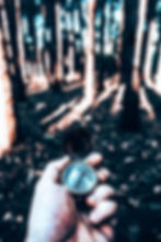 using-a-vintage-compass-in-the-woods-2021-08-26-15-50-41-utcLa Razon.jpg