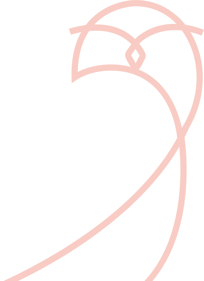 simbolo transp_intaxll_edited.png