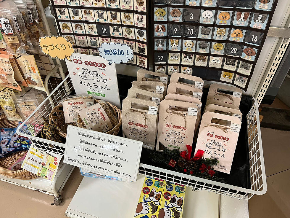 わんちゃんビスケット(^O^)