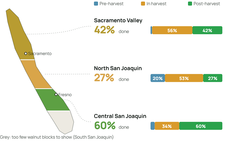 Map and chart: walnut harvest status by region