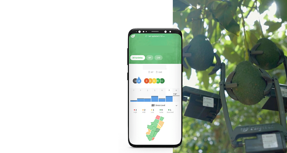 phytech-site-wix (1).png