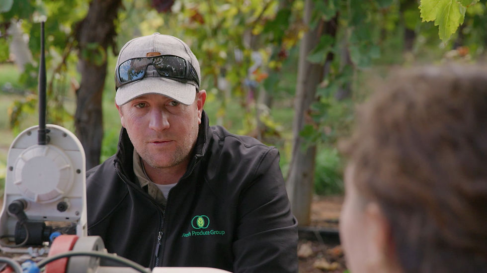 How Fresh Produce Group Is Moving Table Grape Irrigation From Reactive to Proactive