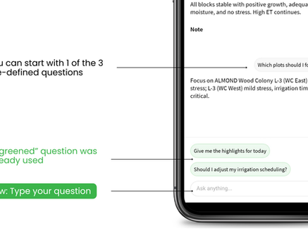 חדש! דייזי – סוכנת ה-AI החקלאית שלך - עכשיו גם בעברית, עונה על שאלות חופשיות