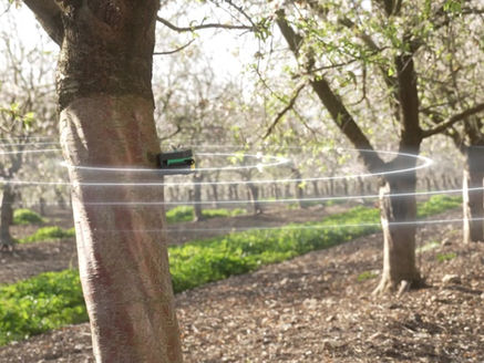 Rethinking Almond Irrigation: Why we should drive growth, not chase drought - A new research