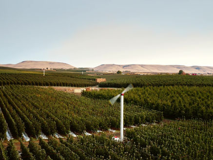 Sustainability: The Future of Farming Powered by Technology
