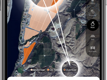 How Phytech apple growers save crops by detecting and reacting in real-time to oversized fruits
