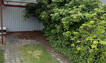 Affalds kørsel 11.jfif