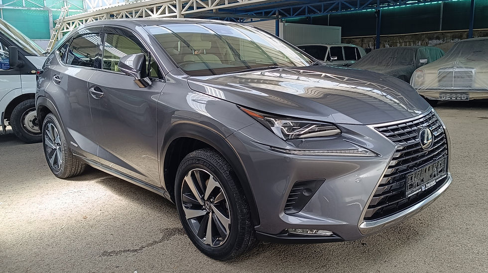 2020 LEXUS NX300H