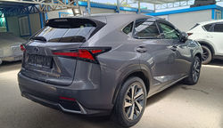 NX300H