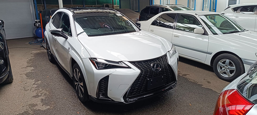 2023 LEXUS UX