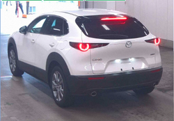 CX-30