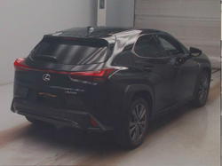 LEXUS UX250H
