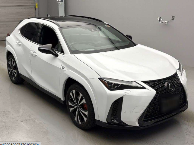 2023 LEXUS UX250H