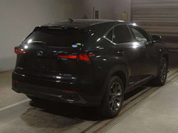 NX300H