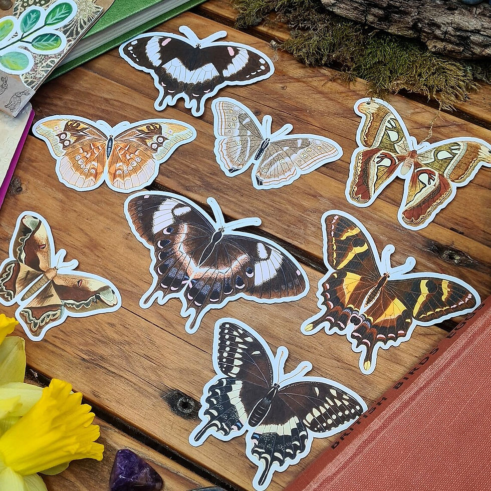 Thumbnail: Vintage style butterfly journal kit - Die cut butterfly cut outs - butterfly