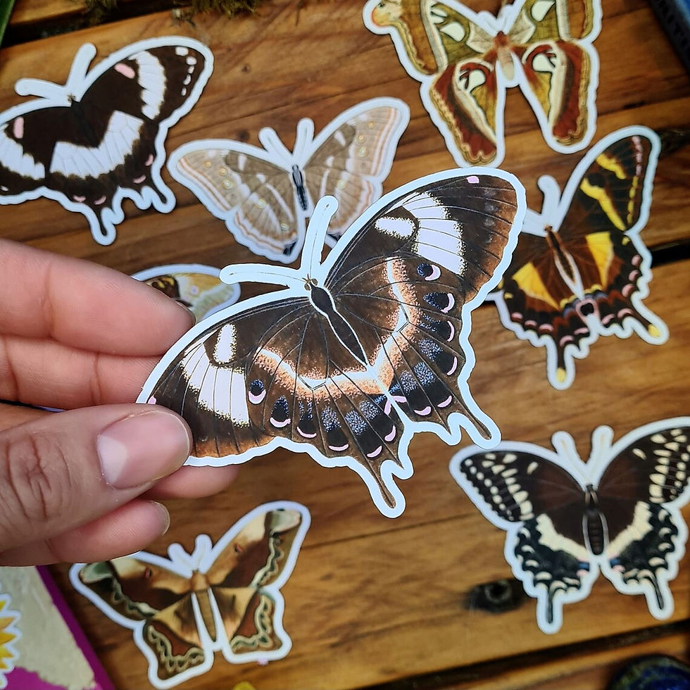 Thumbnail: Vintage style butterfly journal kit - Die cut butterfly cut outs - butterfly