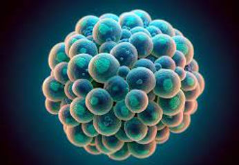 archea 2.jpg