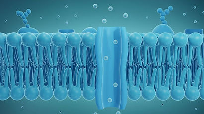 artificial-cell-membrane-channels-can-be-opened-and-locked-with-a-key-361448-960x540.jpg