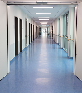 Hospital Flooring Example 1.png