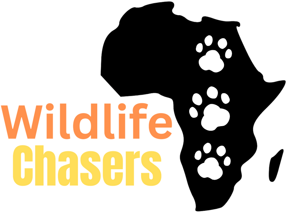 Add a subheading (1)_edited.png