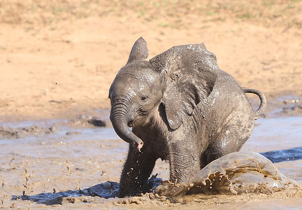 WhatsApp Image 2025-08-07 at 07.22.37_9ad8f4c5.jpg