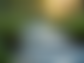 The Power of Mindfulness in Everyday Life