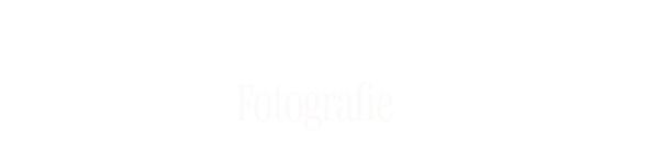 logo3.png