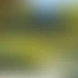 Golfing in Blairsville