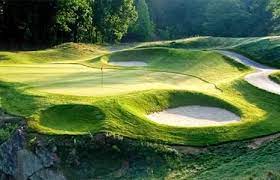 Golfing in Dillard