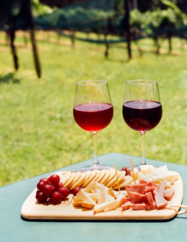 Jasper, Georgia Wine Tasting